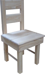 Custom Designs/Extras -  Chair with additional backsupport
